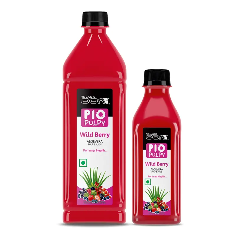 Blackbon Pio Pulpy Wild Berry Aloe Vera Pulp & Juice