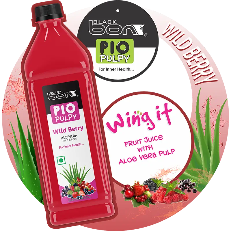 Blackbon Pio Pulpy Wild Berry Aloe Vera Pulp & Juice